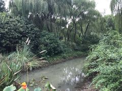 -昆山城市生态森林公园