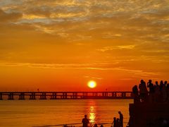 -宝安西湾红树林湿地公园