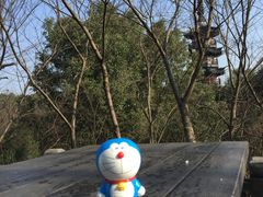 -上海佘山国家森林公园西佘山园