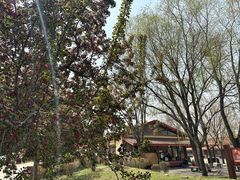 -意大利农场西餐厅(顺义店)