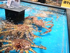 -盒马鲜生(王府广场店)