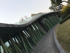-张坝桂圆林公园