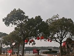 -上海都市菜园