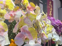 -钱王祠