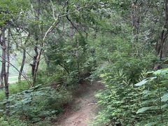 -元大都城垣遗址公园