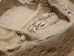 -洛阳周王城天子驾六博物馆