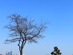 -青岛第三海水浴场