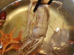 鲜人参锅底-千岛蚝高压锅生蚝·人参火锅(白云万达店)