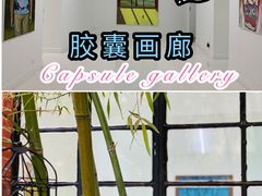 -胶囊画廊