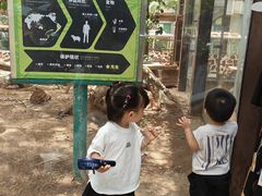 -灵玲国际马戏城