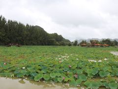 -安龙招堤