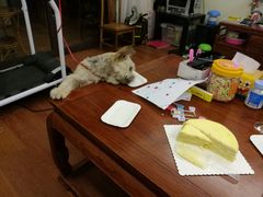 -7cake榴莲千层蛋糕(松江店)