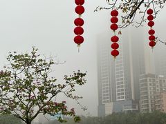 -中澳友谊花园