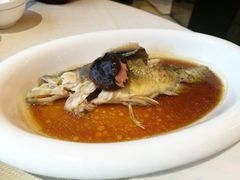 清蒸桂鱼-A One Kitchen·南京精菜馆(晶丽酒店店)