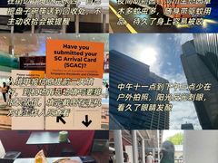 -圣淘沙天际线斜坡滑车