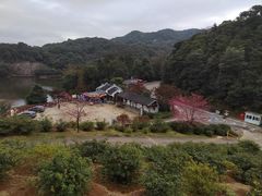 -广州市石门国家森林公园