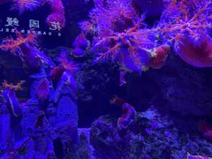 -成都浩海立方海洋公园