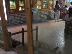 -上海大自然野生昆虫馆(东方明珠·爬宠昆虫探索中心)