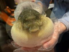 -肆月河豚·淮扬菜·湘菜(华天店)