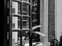 -广州基督教救主堂