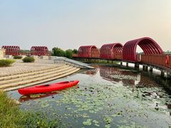 -芒洲湿地公园