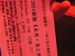 -水秀国际大剧院