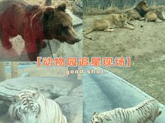 -北京野生动物园