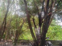 -来回·咖啡(钟村咖啡豆店)
