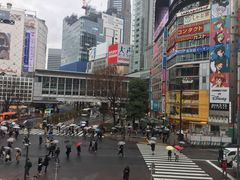 -涩谷区