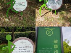 -南京市江宁方山