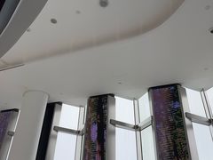 -平安金融中心云际观光层