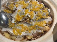 -老吉士酒家(丁香国际店)