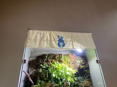 -小意思咖啡店(草桥店)