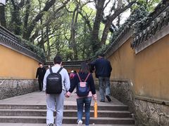 -普陀山风景名胜区-法雨禅寺