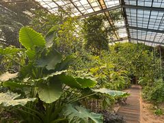 -呀路古热带植物园
