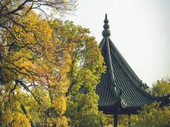 -无锡蠡湖国家湿地公园-蠡园