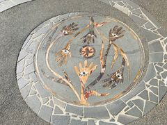 -墨尔本皇家植物园