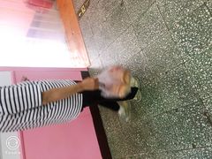 -中关村茶点