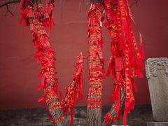 -中心庙