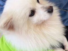 -怪兽屋·羊驼·猫咖·狗咖(俊华广场店)