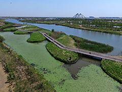 -春花秋色城市公园