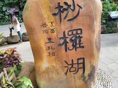 -深圳仙湖植物园
