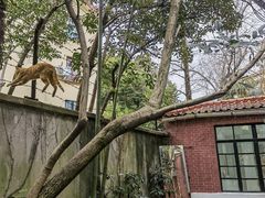 -胶囊画廊