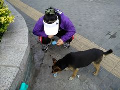 -鬼笑石后山停车场