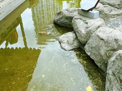 -江宁织造博物馆