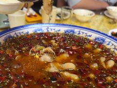 -青岛锅贴(四流中路店)