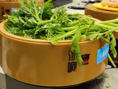 -汤响自助回转火锅百汇(乐峰广场店)