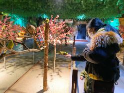 -酷嗒动物文化乐园(cutezoo西溪乐天城店)