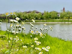 -美兰湖景区