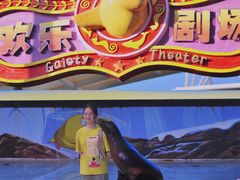 -三亚海昌梦幻海洋不夜城